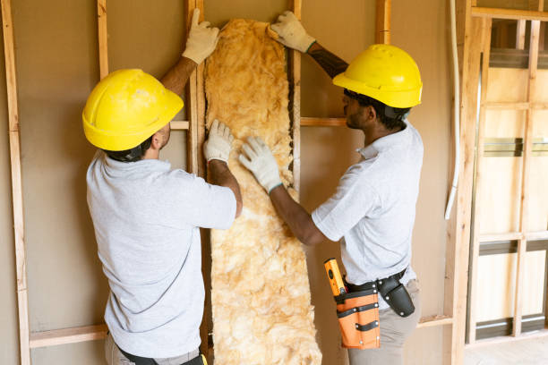 Best Attic Insulation Installation  in Shannon Hills, AR