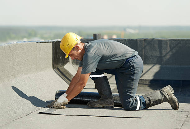 Best Professional Insulation Contractor  in Shannon Hills, AR